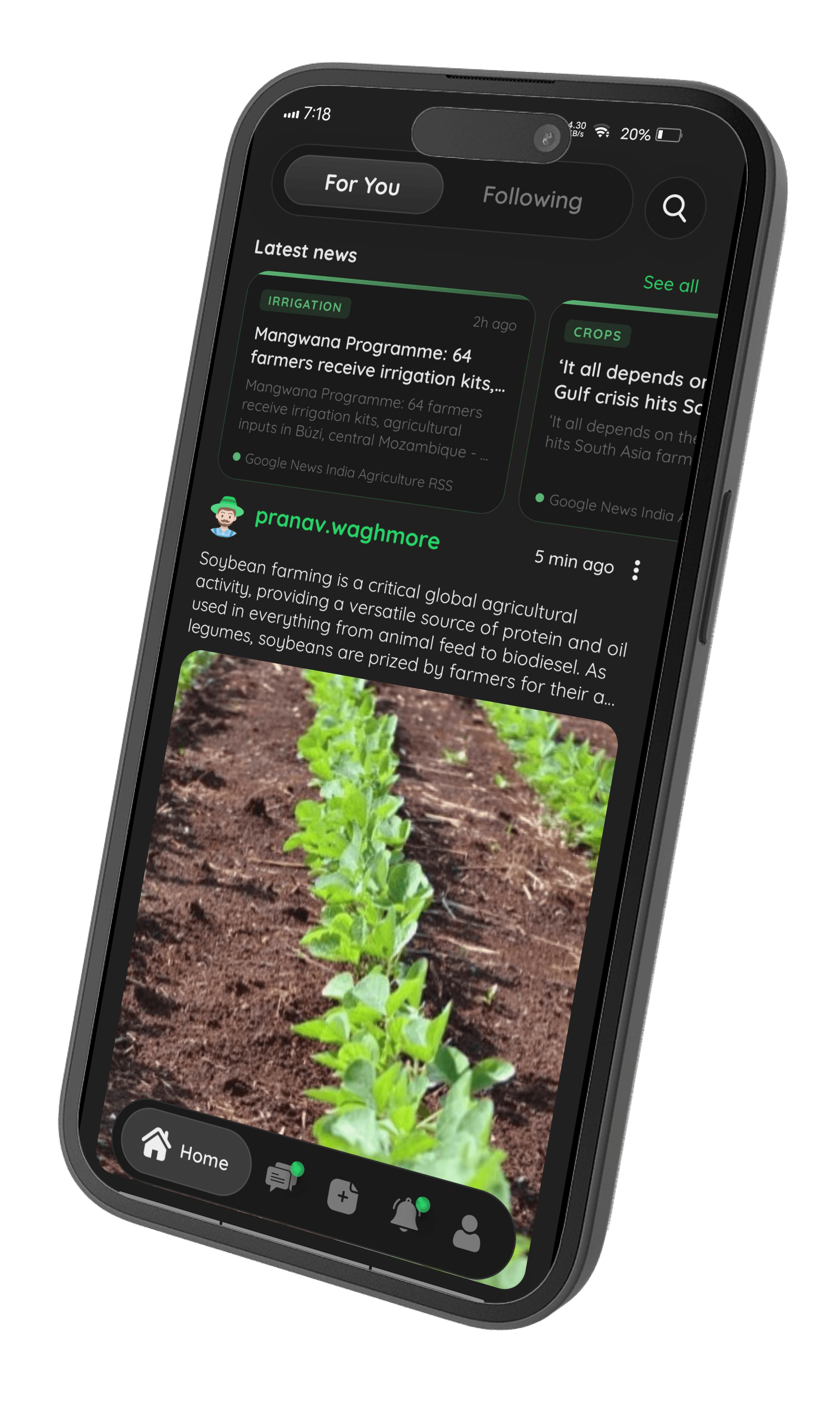 GraziLink community feed