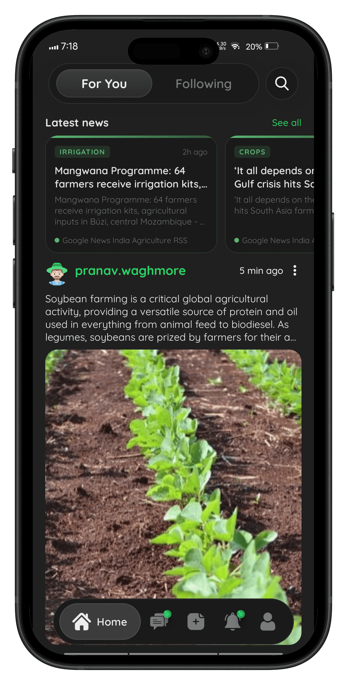 GraziLink community feed